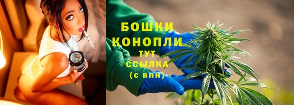 прущая мука Ельня
