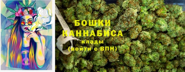 spice Гусиноозёрск