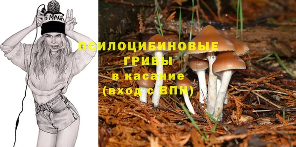 mdma Протвино