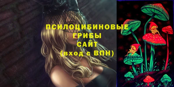 бошки Гусь-Хрустальный