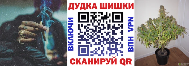 Канабис сатива  Великий Устюг 